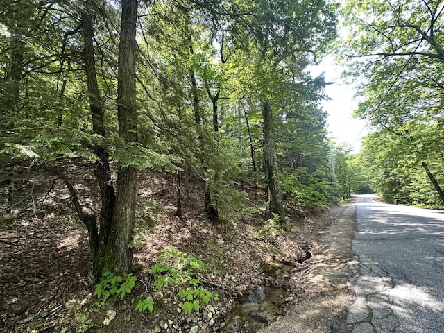 LOT20 Dyke Mountain Rd, Sebago, ME 04029