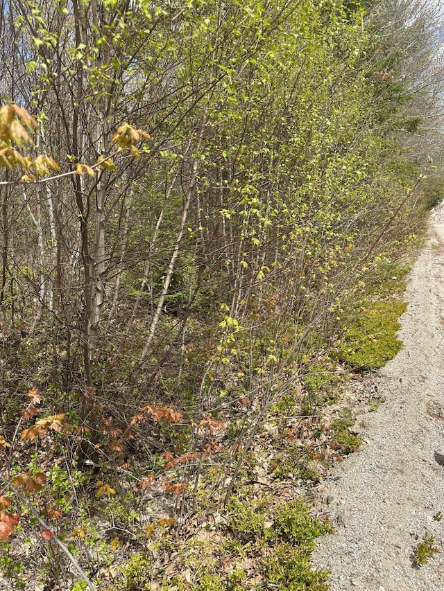 M22L38 Unionville Rd, Steuben, ME 04680