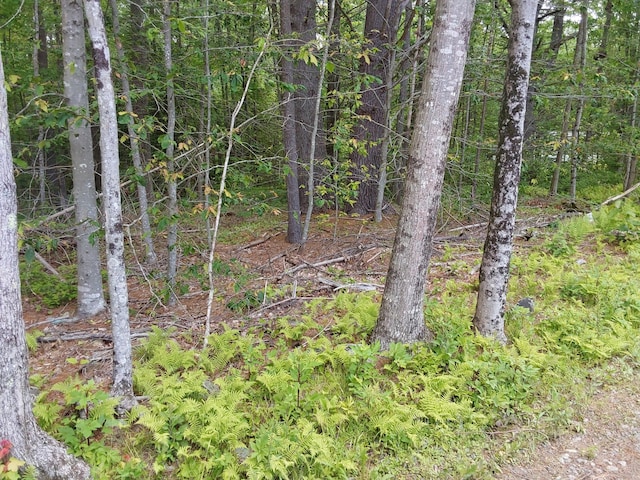 M19-L16-1 Augsuta Rd, Jefferson, ME 04348