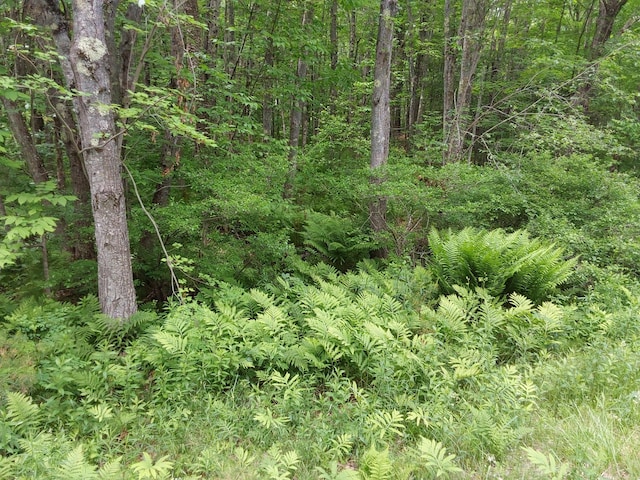 M19-L16-1 Augsuta Rd, Jefferson, ME 04348