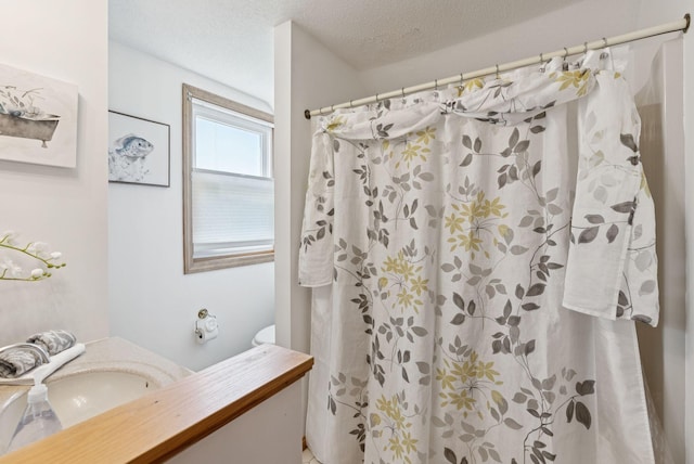 44 Meadowbrook Dr Unit 4, Gorham, ME 04038 - full bath featuring vanity, curtained shower, and a textured ceiling