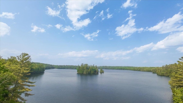 1835 Main St, Fayette, ME 04349 - water view featuring a heavily wooded area