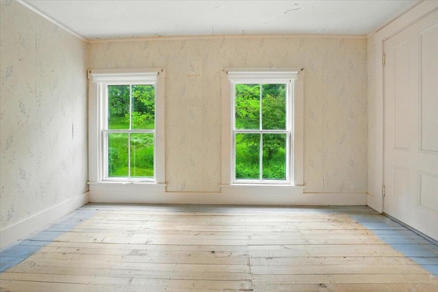 1835 Main St, Fayette, ME 04349 - unfurnished room with hardwood / wood-style flooring and plenty of natural light