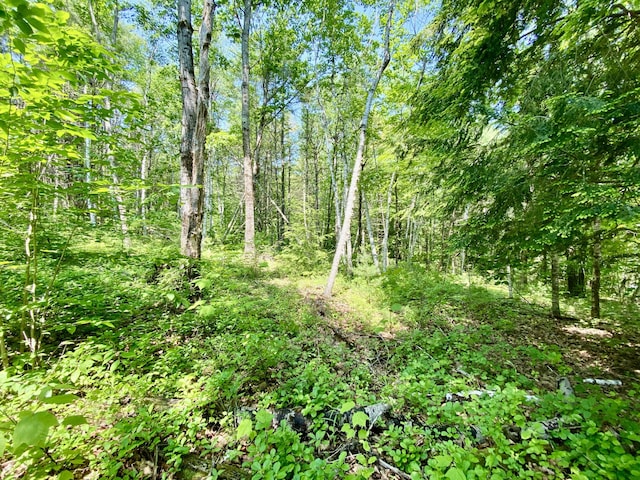 00 Maplecrest, Parsonsfield, ME 04047