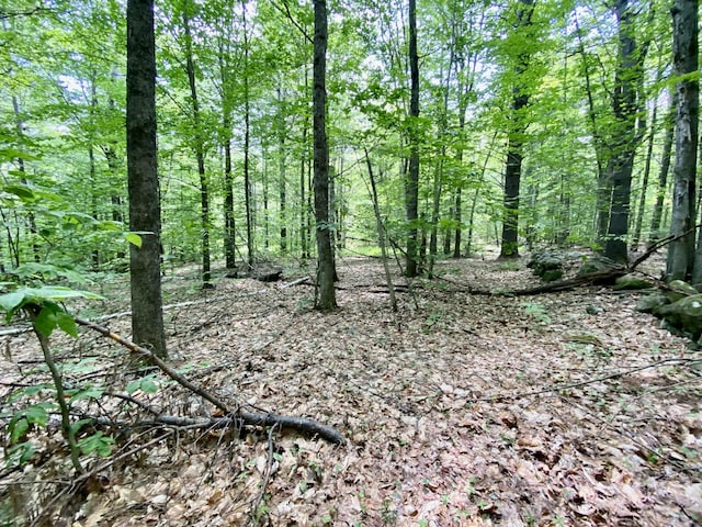 00 Maplecrest, Parsonsfield, ME 04047