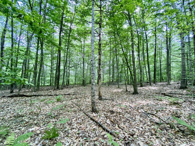 00 Maplecrest, Parsonsfield, ME 04047