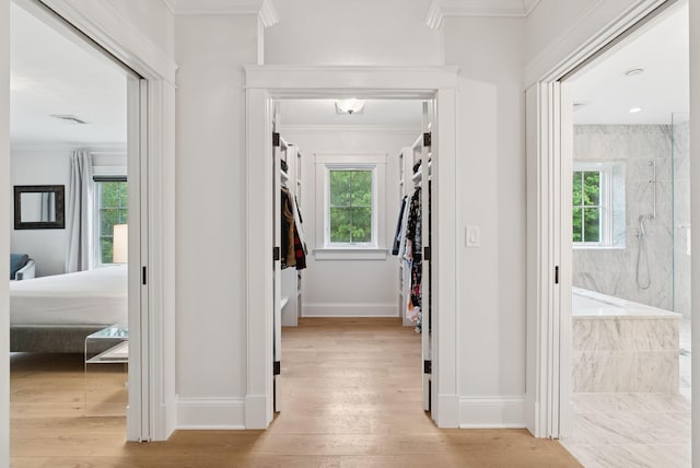38 Fieldstone Ln, Falmouth, ME 04105 - corridor featuring ornamental molding and light wood finished floors