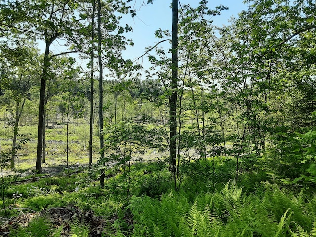 300 Jones Rd, Somerville, ME 04348 - photo 25