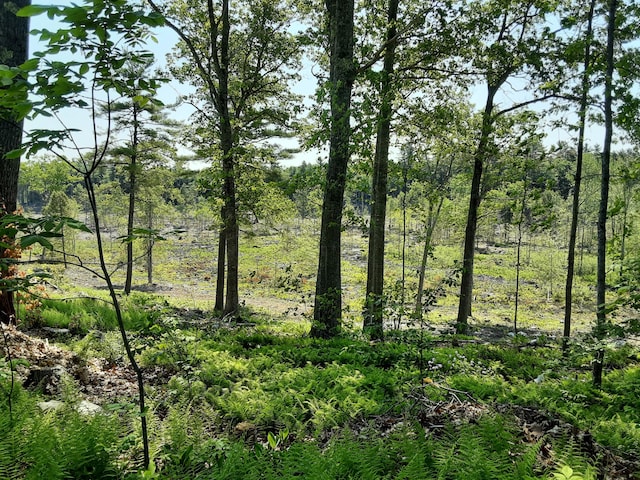 300 Jones Rd, Somerville, ME 04348 - photo 26