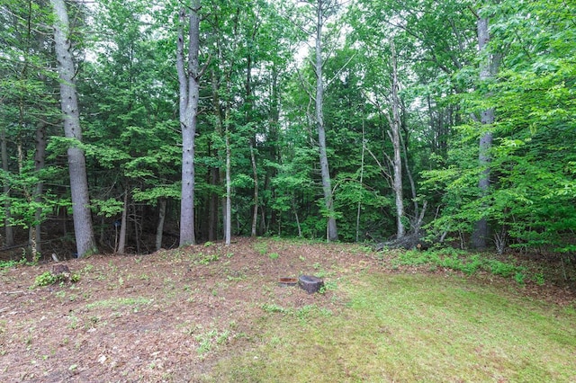 70 Whitten Rd, Kennebunk, ME 04043 - view of yard featuring a wooded view