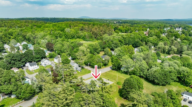 166 Franklin St, Bucksport, ME 04416 - view of property location featuring a forest