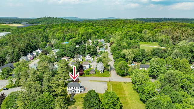 166 Franklin St, Bucksport, ME 04416 - drone / aerial view of a heavily wooded area