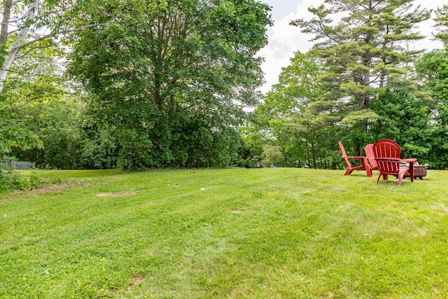 166 Franklin St, Bucksport, ME 04416 - view of green lawn