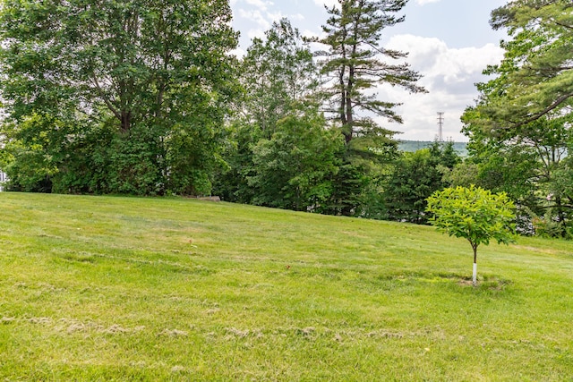 166 Franklin St, Bucksport, ME 04416 - view of green lawn