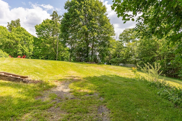 166 Franklin St, Bucksport, ME 04416 - view of grassy yard