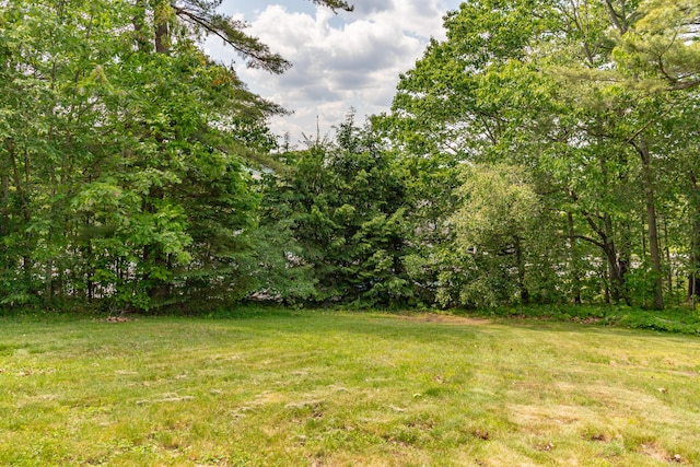 166 Franklin St, Bucksport, ME 04416 - view of grassy yard