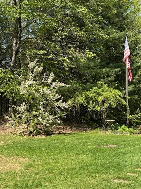 48 E Pasture Rd, Berwick, ME 03901 - view of green lawn
