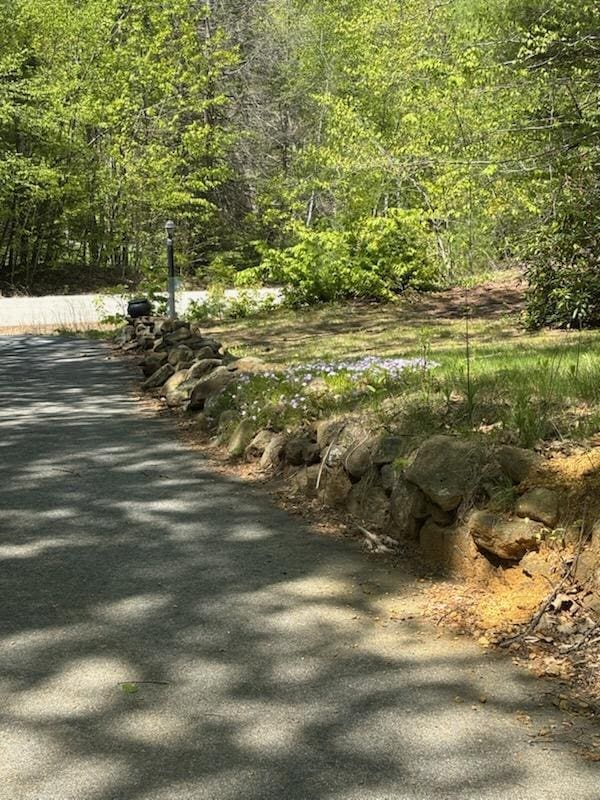 48 E Pasture Rd, Berwick, ME 03901 - view of yard with a wooded view