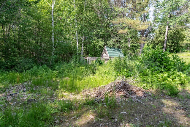 194 Main Rd, Passadumkeag, ME 04475 - view of yard with a forest view
