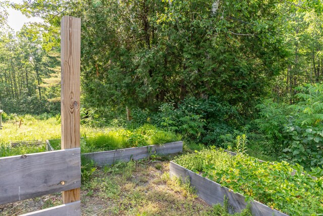 194 Main Rd, Passadumkeag, ME 04475 - view of yard featuring a vegetable garden and a wooded view