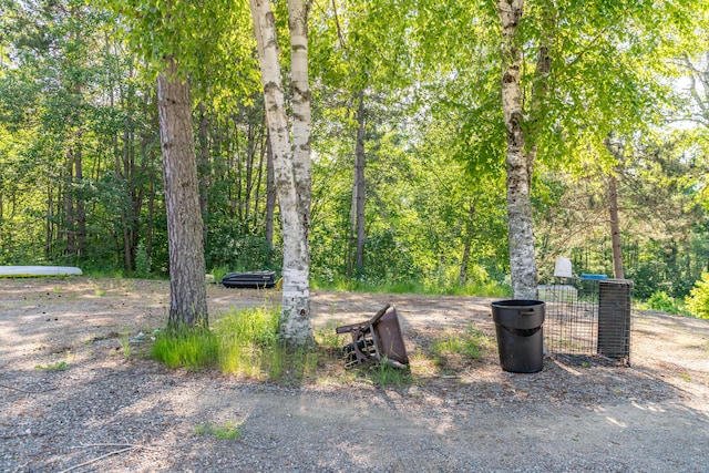 194 Main Rd, Passadumkeag, ME 04475 - view of yard with a view of trees