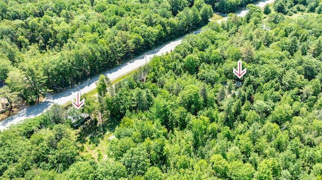 194 Main Rd, Passadumkeag, ME 04475 - aerial view of property and surrounding area featuring a forest