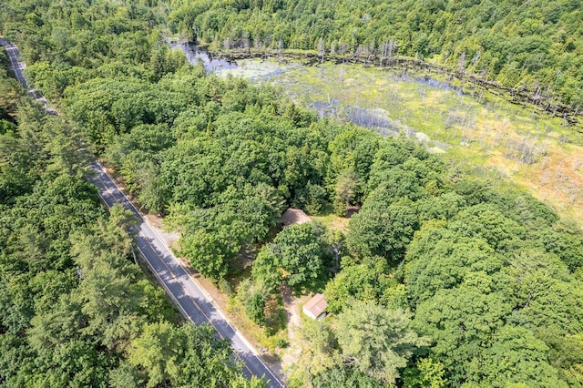 1103 Rte 135, Monmouth, ME 04259 - view of property location featuring a heavily wooded area and a nearby body of water