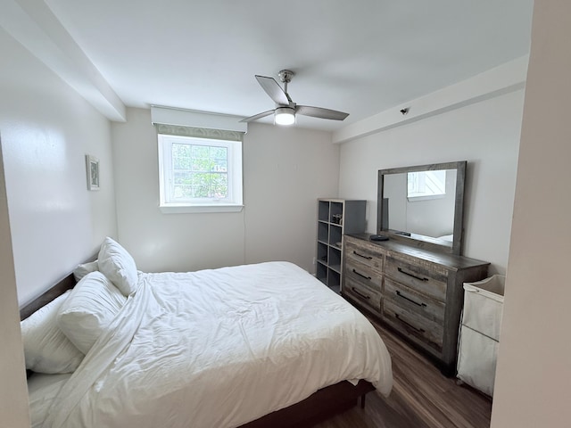 245 Broadway Unit 106, South Portland, ME 04106 - bedroom with dark wood-type flooring and ceiling fan