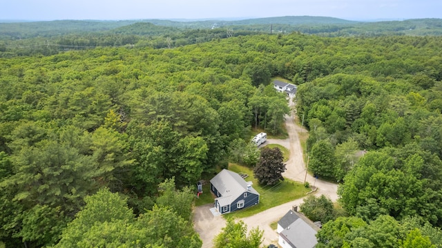 188 Old Chadbourne Rd, Lewiston, ME 04240 - aerial view of a forest