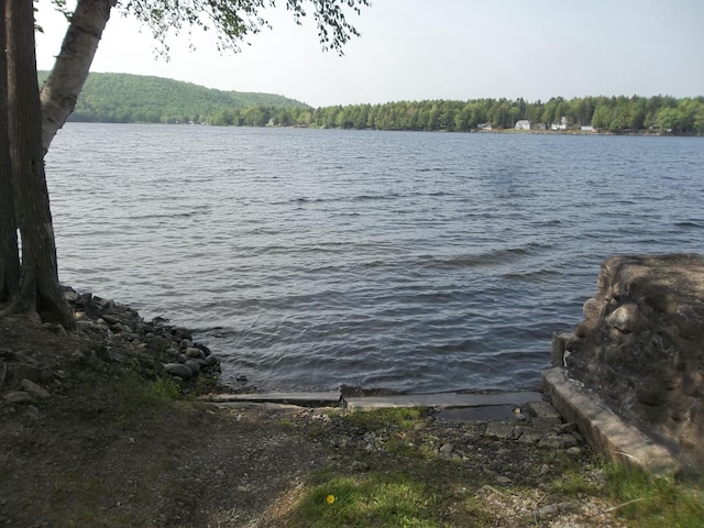 41 Hickory Ln, Alexander, ME 04694 - water view with a forest