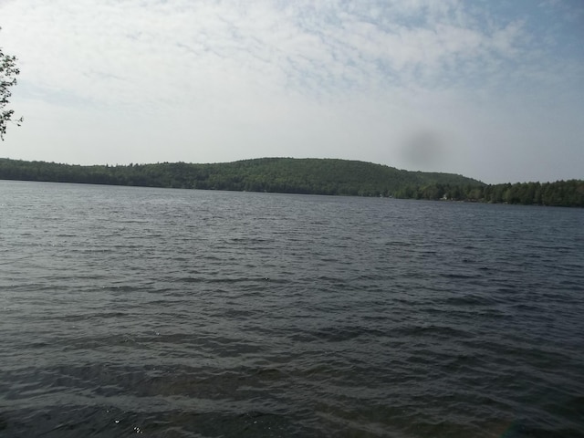 41 Hickory Ln, Alexander, ME 04694 - water view featuring a forest