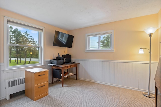 535 Spring St, Westbrook, ME 04092 - office with radiator, a wainscoted wall, and light carpet