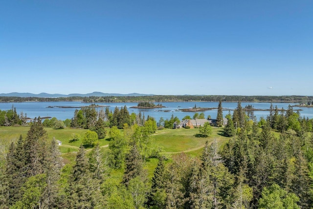 1392 N Haven Rd, Vinalhaven, ME 04863 - water view with a mountainous background