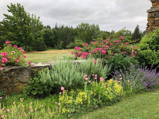 1392 N Haven Rd, Vinalhaven, ME 04863 - view of green lawn