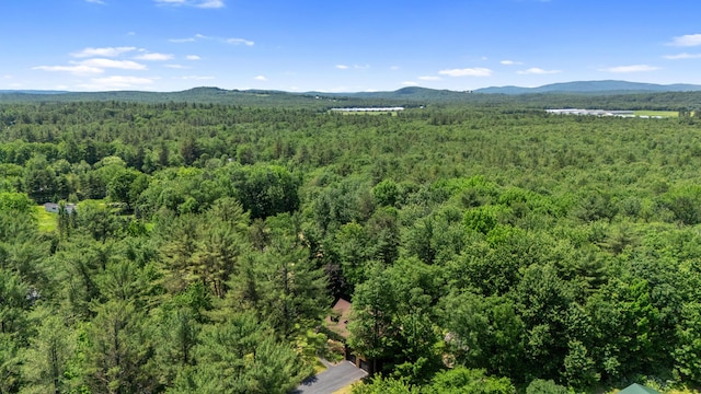 324 Pleasant Pond Rd, Turner, ME 04282 - view of mountain background with a forest