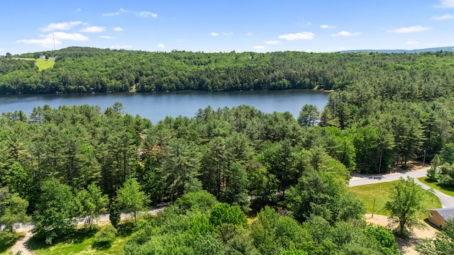 324 Pleasant Pond Rd, Turner, ME 04282 - water view featuring a heavily wooded area