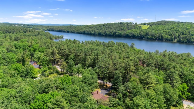 324 Pleasant Pond Rd, Turner, ME 04282 - drone / aerial view of a forest and a large body of water