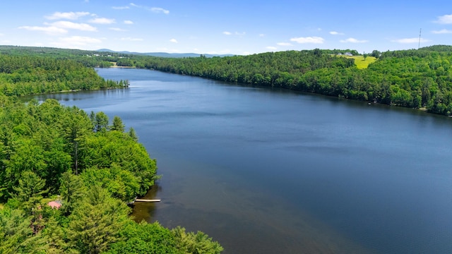 324 Pleasant Pond Rd, Turner, ME 04282 - water view featuring a heavily wooded area