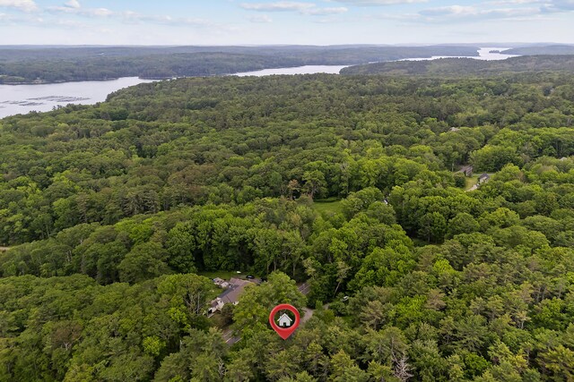 419 River Rd, Newcastle, ME 04553 - drone / aerial view of a forest and a large body of water