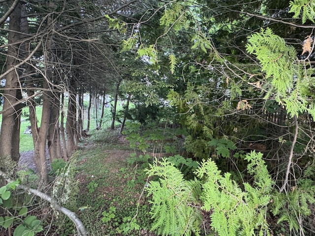 95 Eastern Ave, Augusta, ME 04330 - view of local wilderness