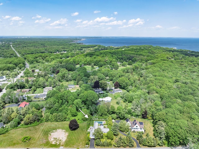 8 Broad Cove Rd, Cape Elizabeth, ME 04107 - drone / aerial view of a forest and a nearby body of water
