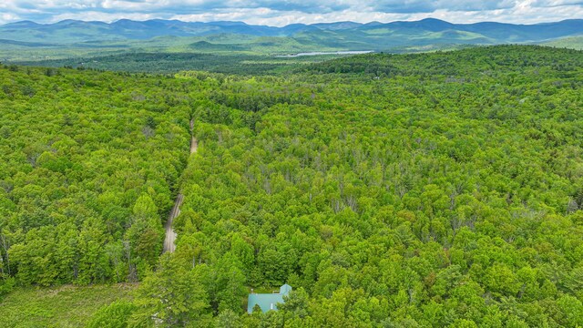 160 Sabattus Trail Rd, Lovell, ME 04051 - photo 3
