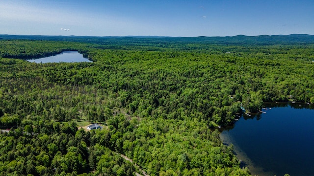 6 Walker Rd, Embden, ME 04958 - aerial view of a heavily wooded area and a large body of water