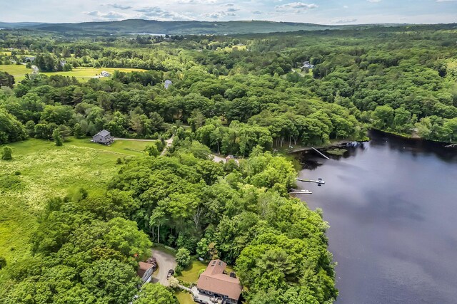 84 Dewmar Ln, Union, ME 04862 - photo 51