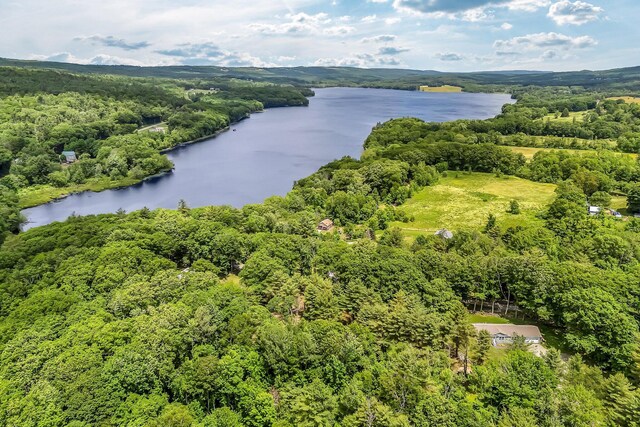 84 Dewmar Ln, Union, ME 04862 - photo 58