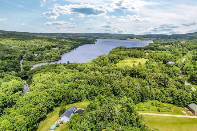 84 Dewmar Ln, Union, ME 04862 - photo 59