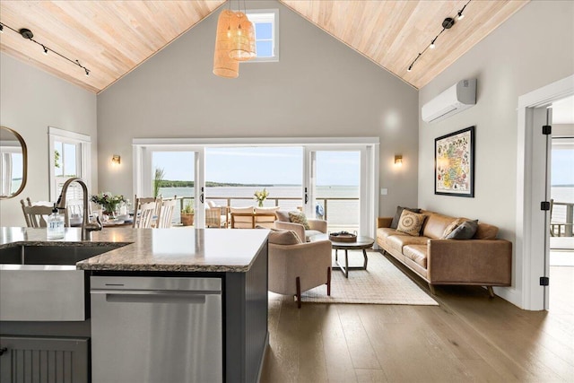 48 Ocean St, Belfast, ME 04915 - kitchen with stainless steel dishwasher, wood ceiling, high vaulted ceiling, an AC wall unit, and track lighting