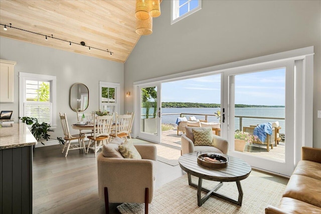 48 Ocean St, Belfast, ME 04915 - living room featuring rail lighting, plenty of natural light, high vaulted ceiling, wooden ceiling, and hardwood / wood-style flooring