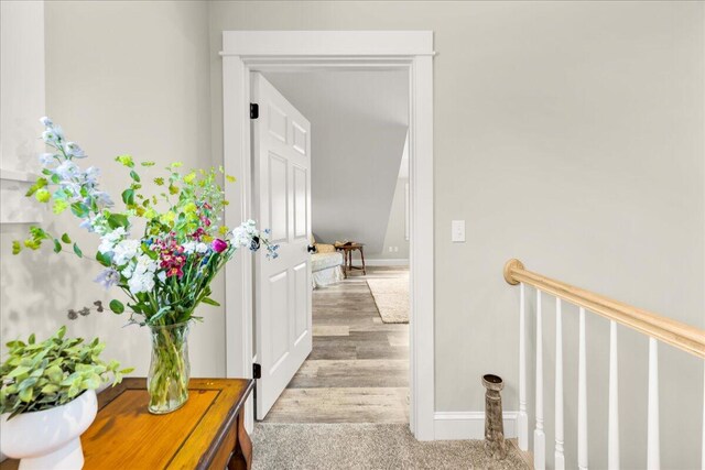 48 Ocean St, Belfast, ME 04915 - hall with baseboards and carpet floors