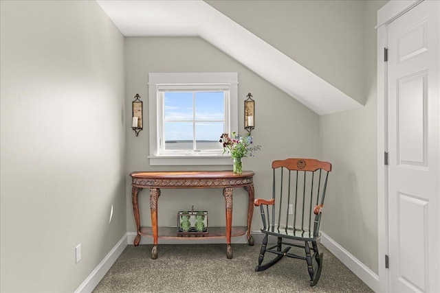 48 Ocean St, Belfast, ME 04915 - living area with carpet floors and vaulted ceiling